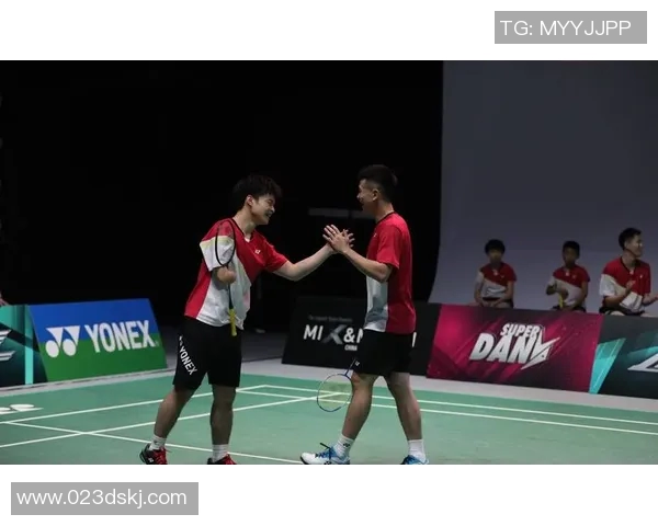 林丹与欧塞夫精彩对决视频回顾赛场瞬间尽在眼前