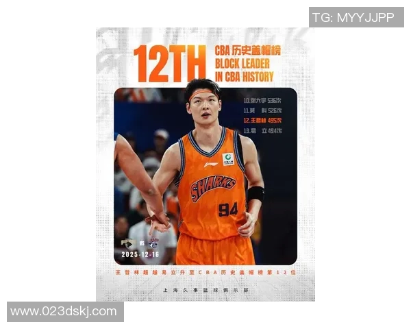 王哲林的篮球之路：从青涩新星到国家队核心的成长历程与未来展望