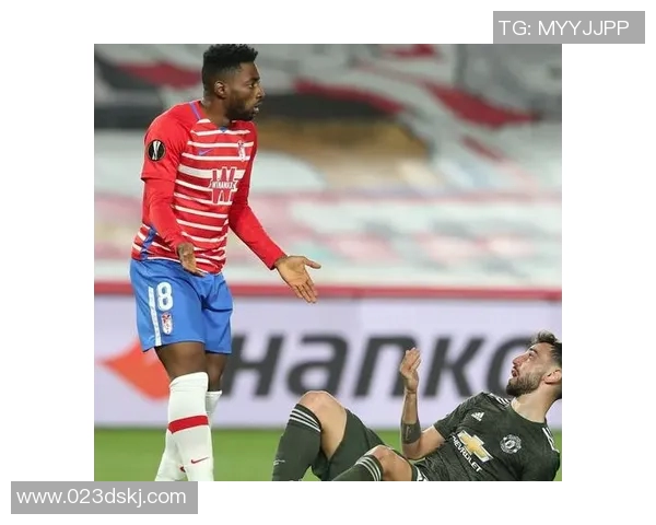 多米尼加与芬兰的精彩对决谁能笑到最后分析比赛前景与战术策略