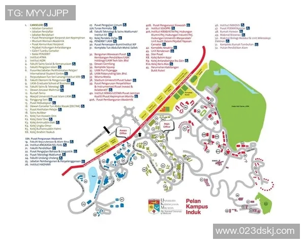 杭州排球队的节奏揭秘：深度解析排球运动的魅力与技巧MBA