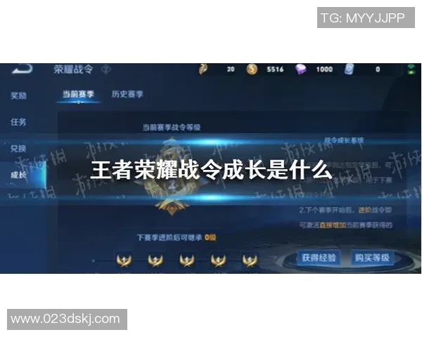 对话王伟：回顾王者荣耀职业生涯的成长与挑战MBA