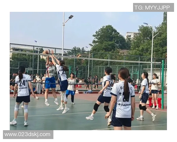 成都排球队反击体系解析：排球战术的创新与实践探索MBA