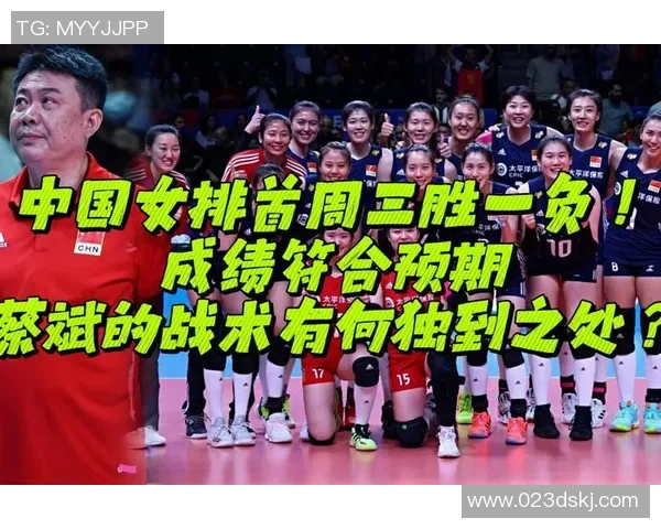 西安排球队个人能力分析与排球战术的深度融合探讨